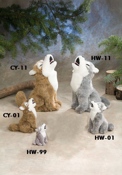 hw01